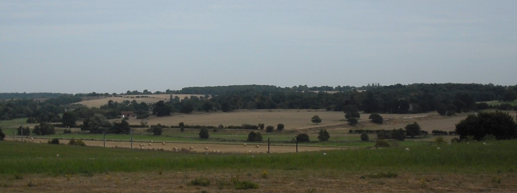 caistorstedmundsa140 Caistor St Edmunds from the A140