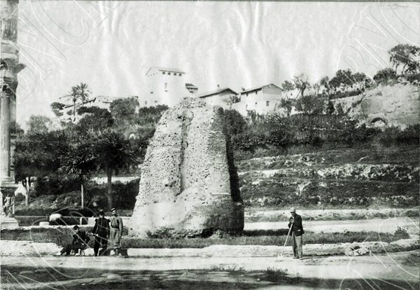 Meta Sudans. 1860.